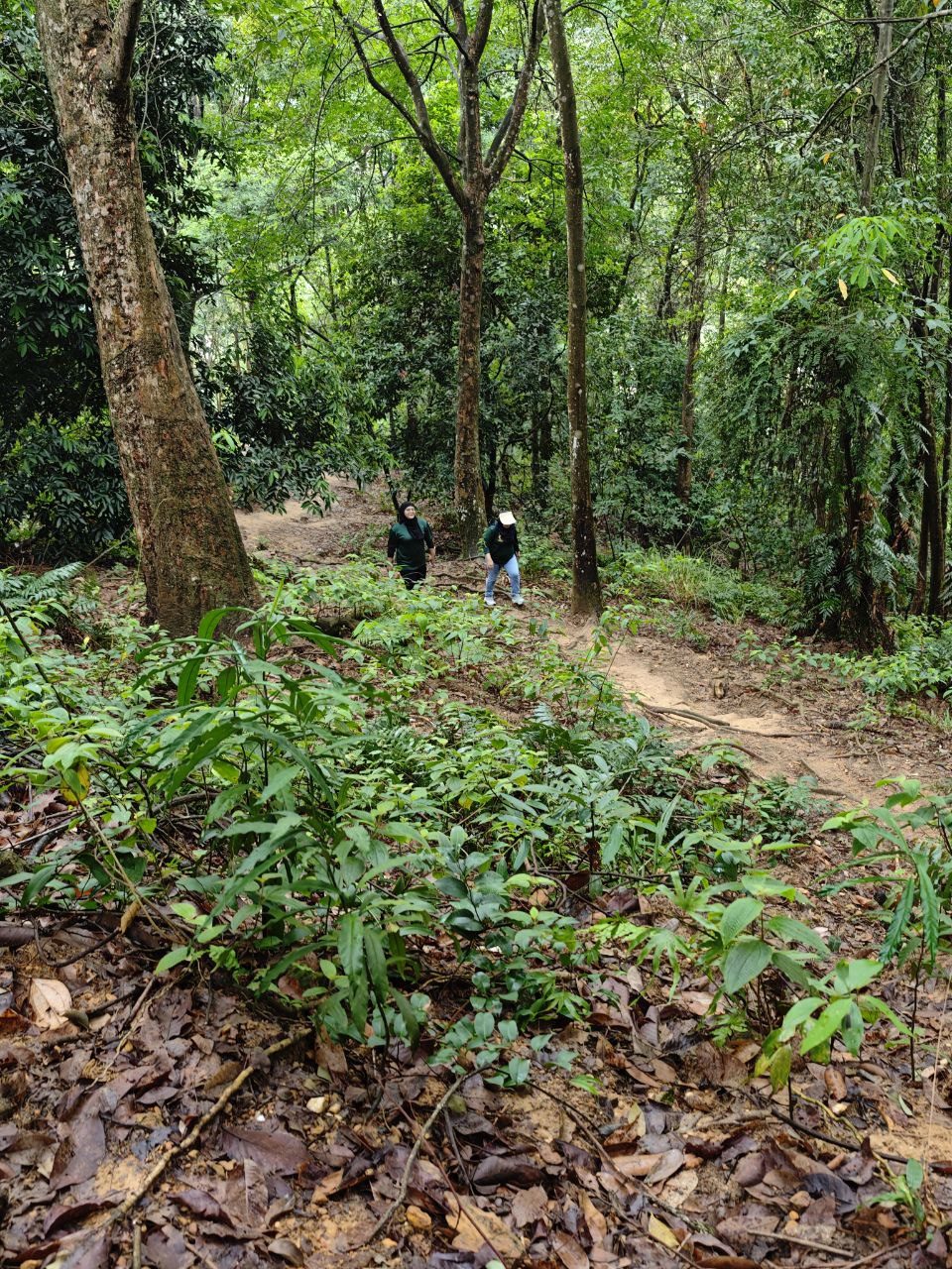 Program bersama Teamnogoriohsem, (Sarapan Pagi, Briskwalk dan Hiking) di Nilai, Negeri Sembilan 12 Julai 2025 — 9